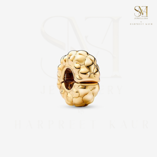Add a versatile touch to your collection with our stylish clip charm – perfect for any bracelet or necklace!”